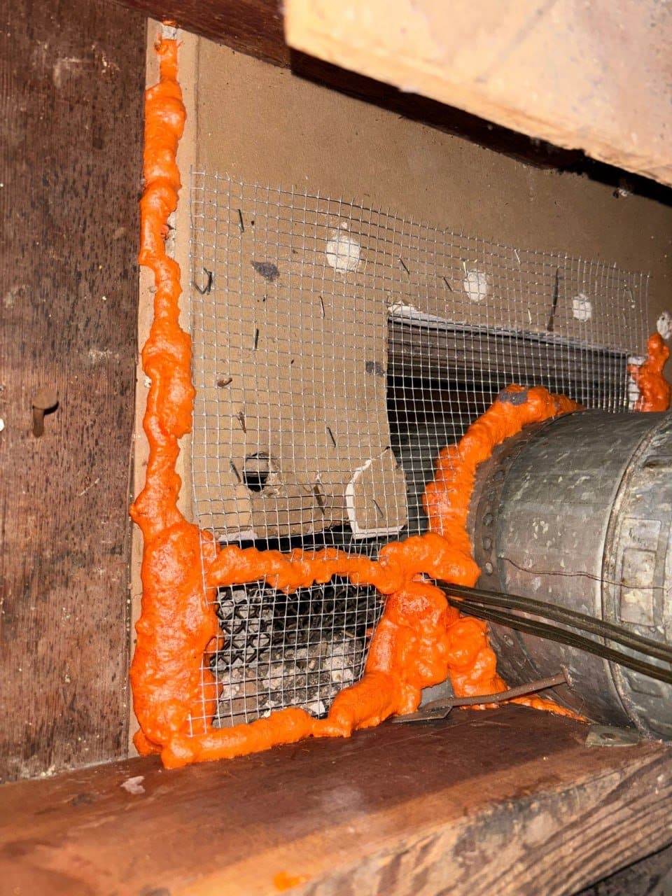 Wire mesh and foam sealed around a duct in a Pasadena attic